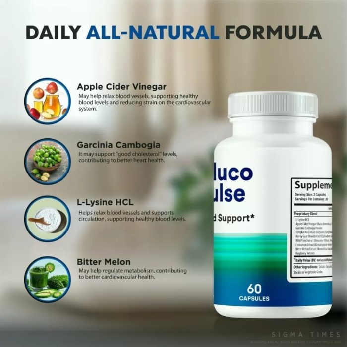 Gluco Pulse - Image 2