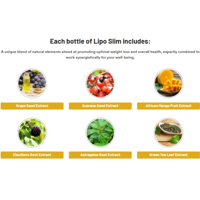 Lipo Slim Supplement - Image 2